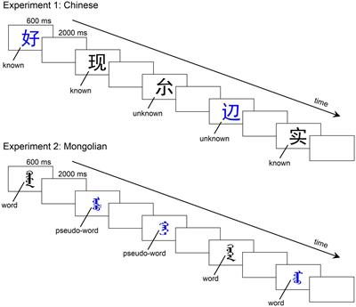 Early lexical processing of Chinese one-character words and Mongolian words: A comparative study using event-related potentials